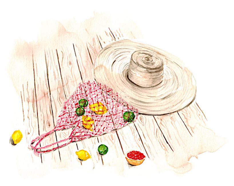 Strohhut und ein rotes Einkaufsnetz mit Zitronen, Limetten und Grapefruits liegen auf einer Holzveranda